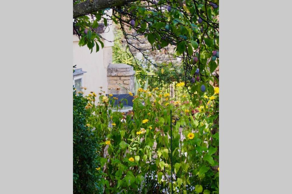 Villa Wachtertor Krems an der Donau Dış mekan fotoğraf